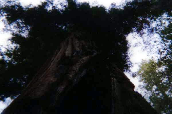 11_22A