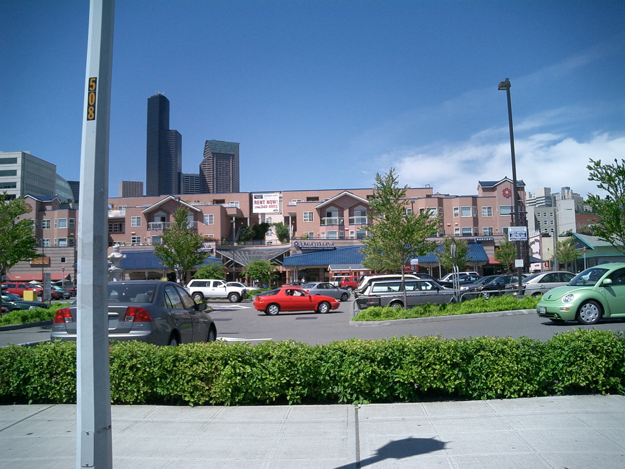 CIMG0338.JPG