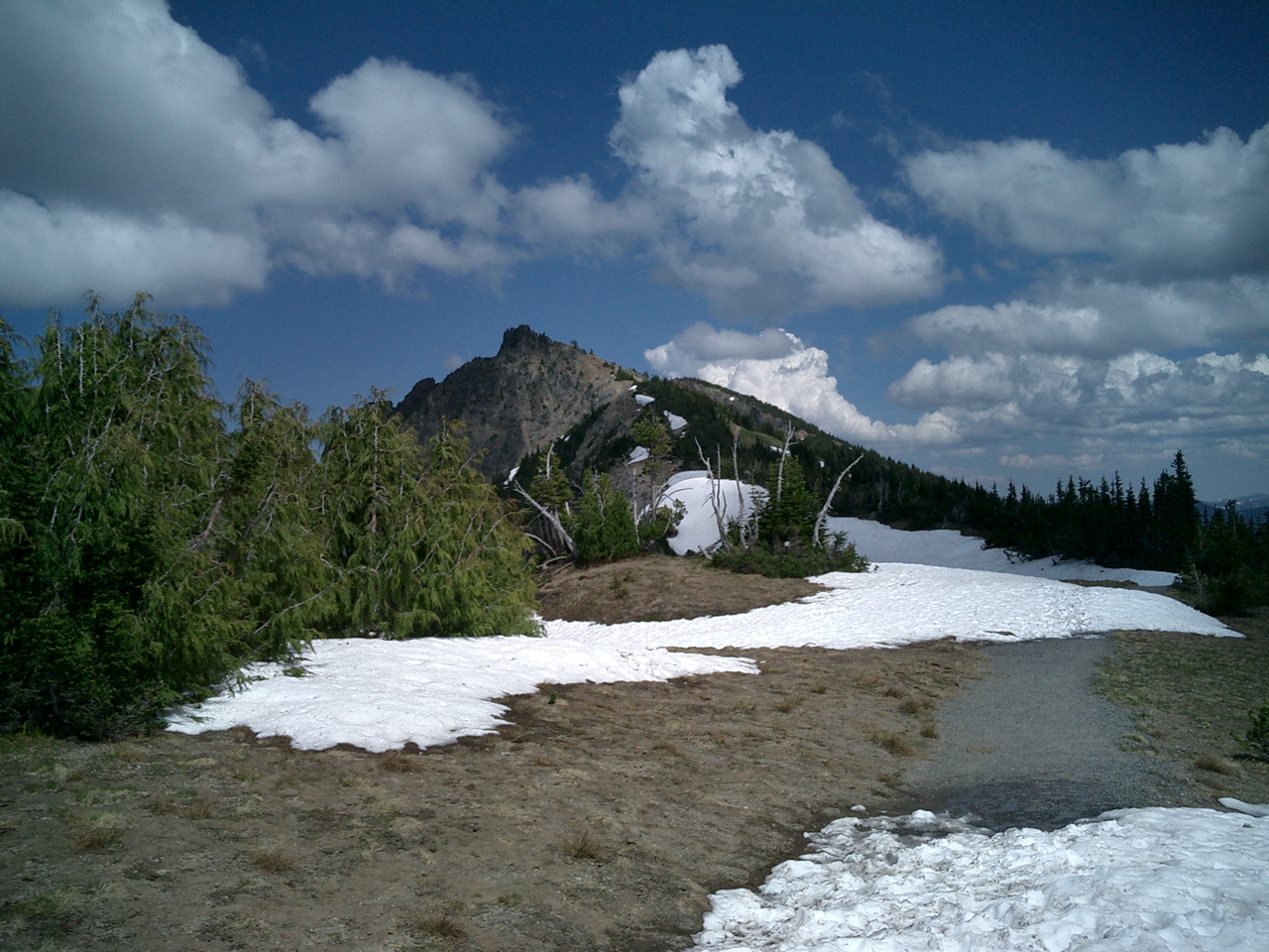 CIMG0359.JPG