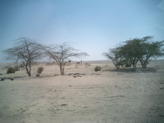 CIMG0797.JPG