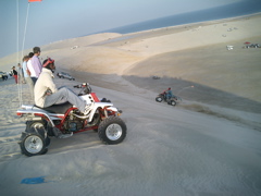 CIMG0828.JPG