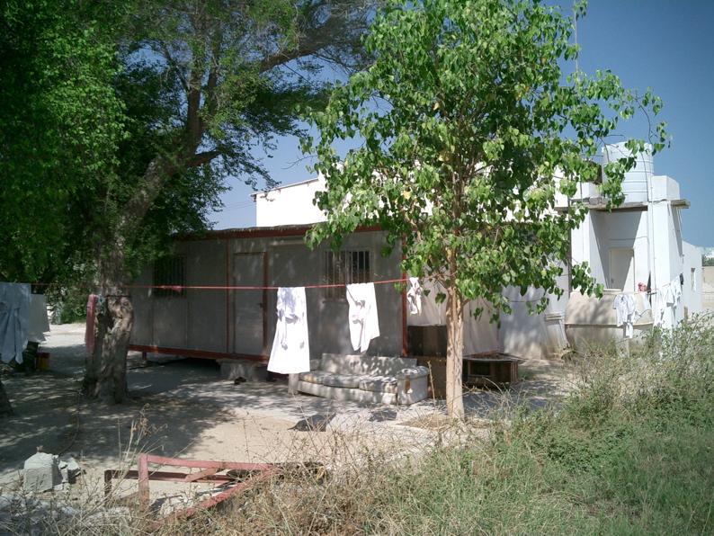CIMG0524.JPG