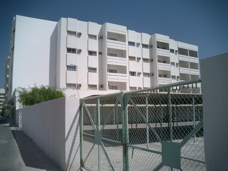 CIMG0526.JPG