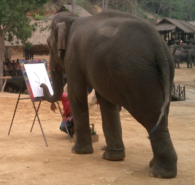 Elephant Camp