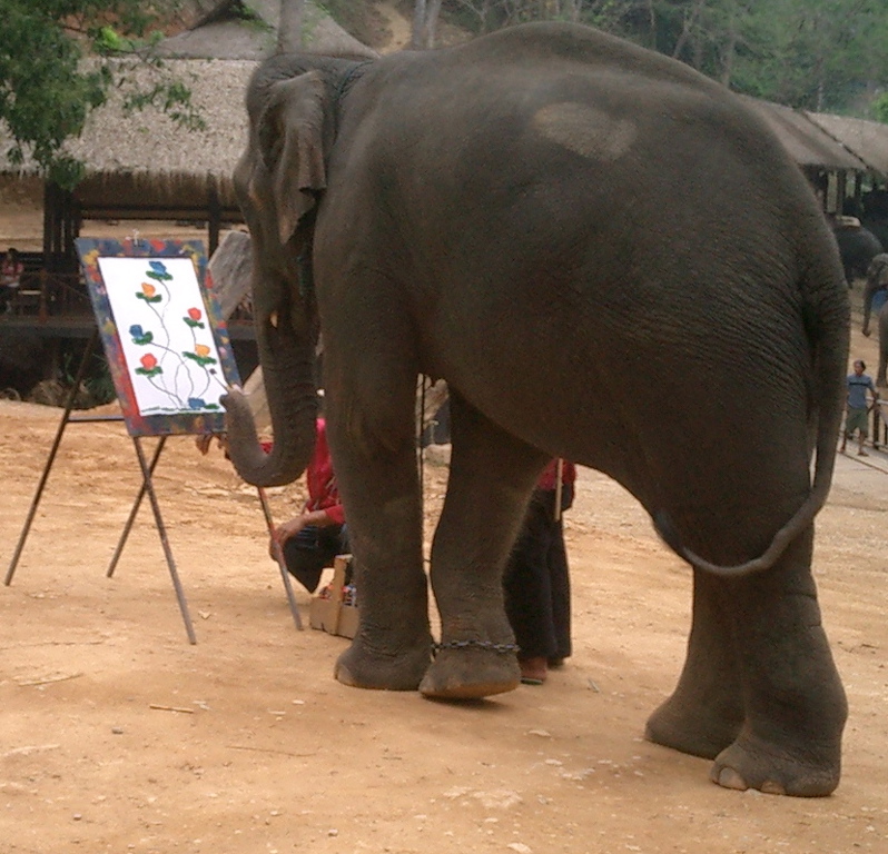 Elephant Camp