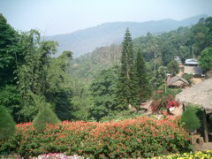 Hill Village