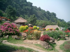 Hill Garden